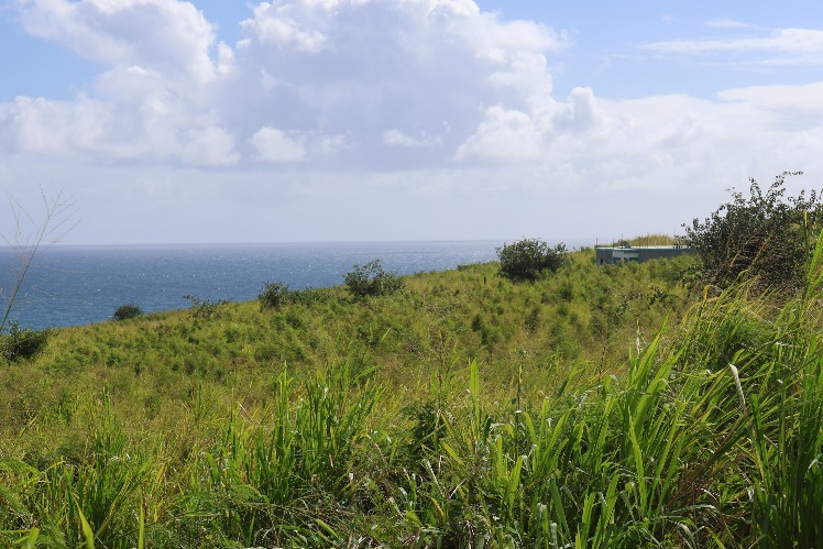 Residential land for sale in Hermitage Highlands Residences in Cayon, St. Kitts