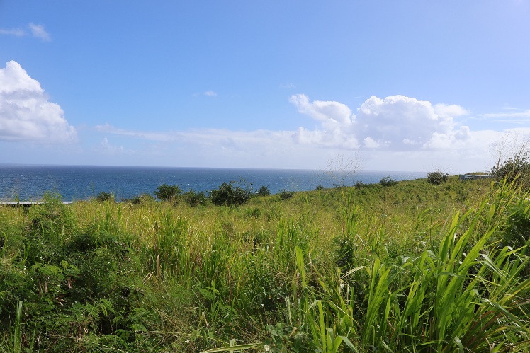 Residential land for sale in Hermitage Highlands Residences in Cayon, St. Kitts