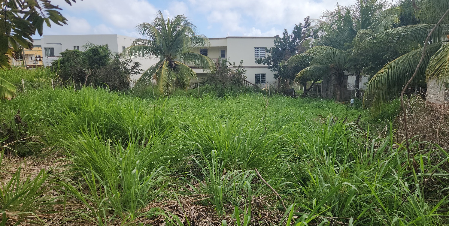 Land for Sale at Parray Housing Development, St. Peters, St. Kitts