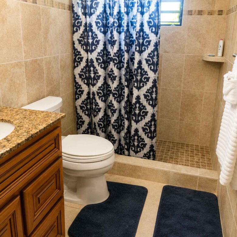 Bathroom with tiled shower, granite-topped timber vanity and framed mirror
