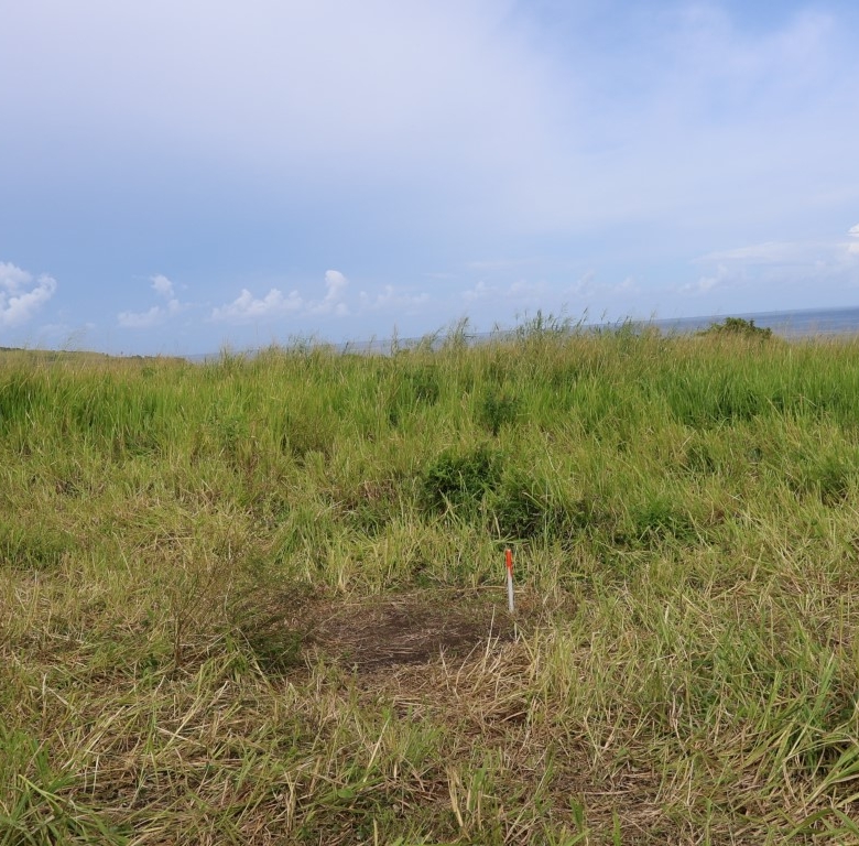 Land For Sale in Estridge, St Kitts