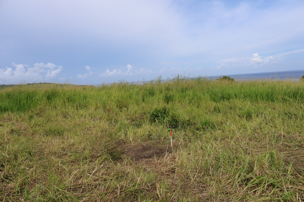 Land For Sale in Estridge, St Kitts