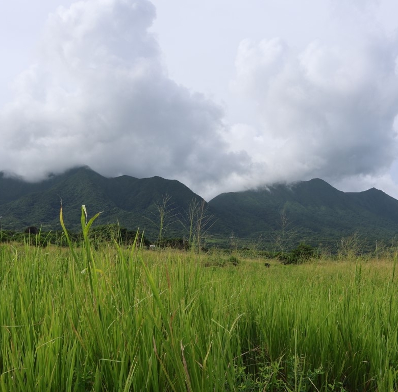 Land For Sale in Estridge, St Kitts