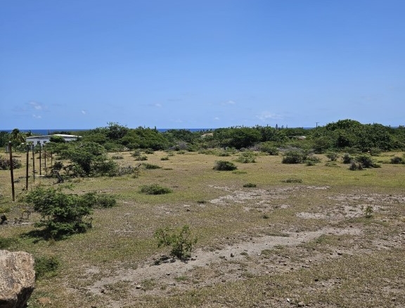 Land at Nisbett Estate, Nevis For Sale