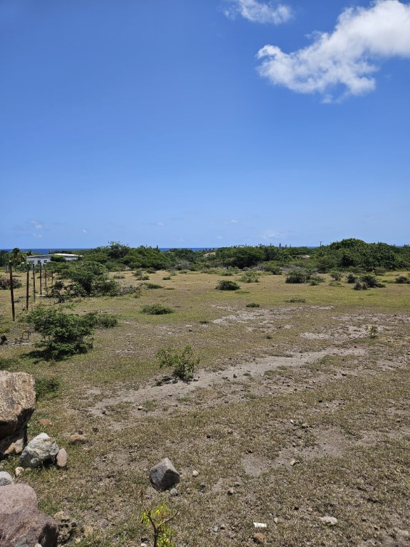 Land at Nisbett Estate, Nevis For Sale