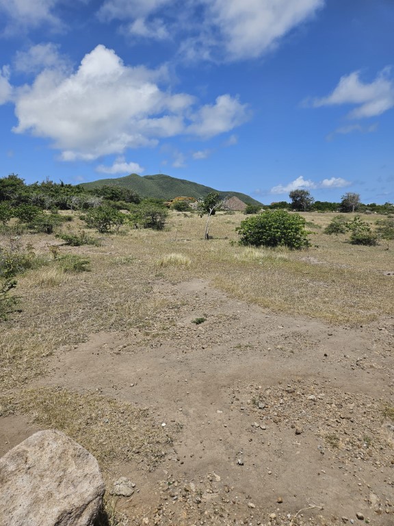 Land at Nisbett Estate, Nevis For Sale