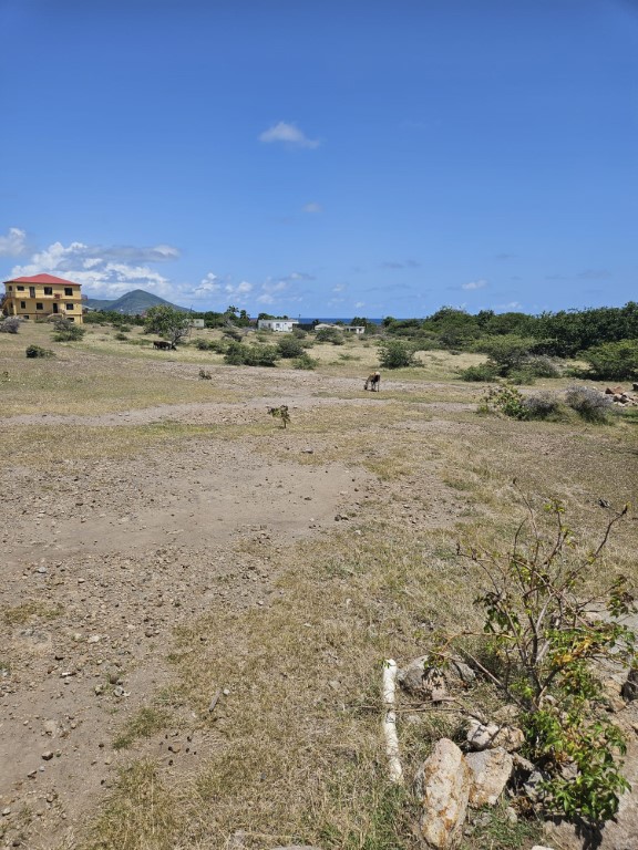 Land at Nisbett Estate, Nevis For Sale