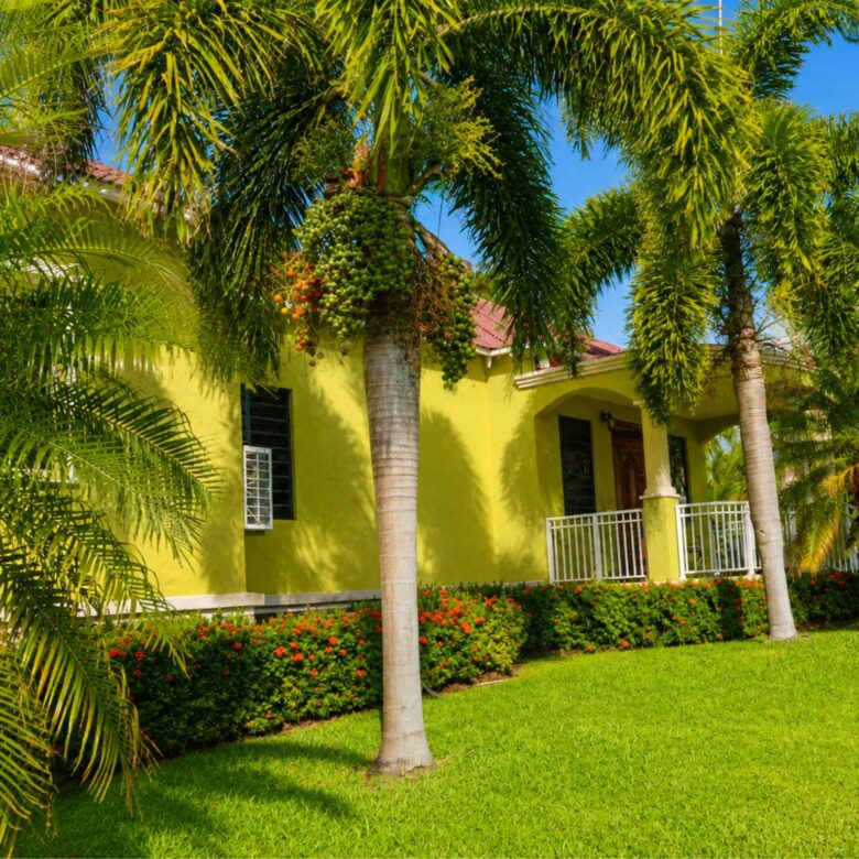 Lawned garden with royal palms and flowering shrubs beside the property