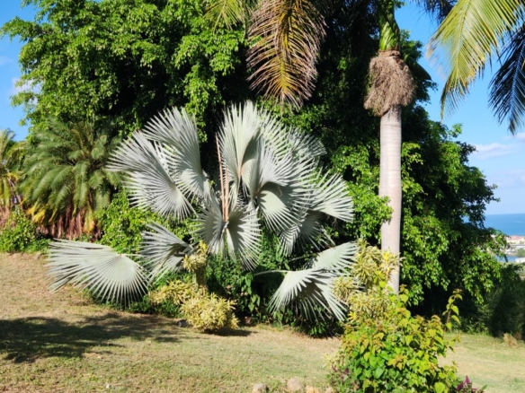 House for sale in Frigate Bay, St. Kitts