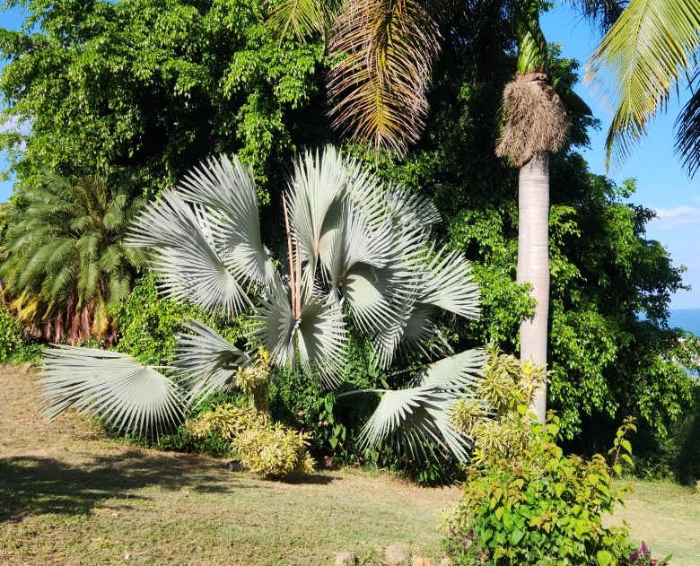 House for sale in Frigate Bay, St. Kitts